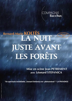 Affiche de La nuit juste avant les forêts