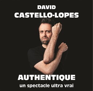 Affiche de David Castello-Lopes dans Authentique