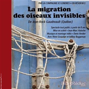 Affiche de La migration des oiseaux invisibles