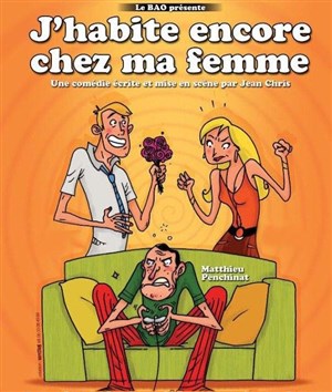 Affiche de J'habite encore chez ma femme