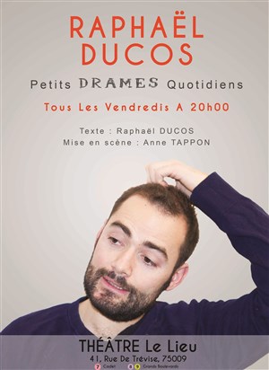 Affiche de Raphael Ducos dans Petits drames quotidiens