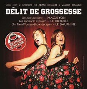 Affiche de Délit de grossesse
