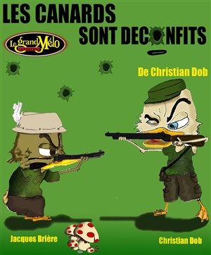 Affiche de Les canards sont déconfits