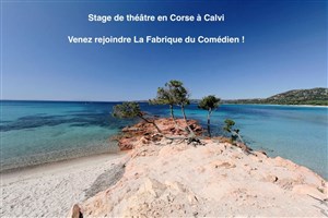 Affiche de Stage théâtre impro été