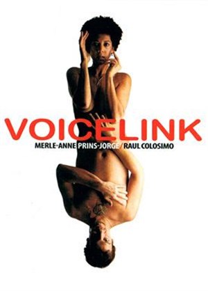 Affiche de Voice Link
