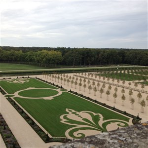 Affiche de Visite guidée : Chambord, bijou de la Renaissance | par CulturMoov