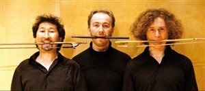 Affiche de Les Violons Barbares