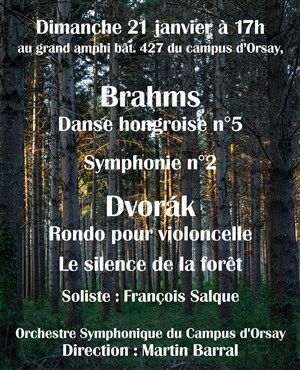 Affiche de Brahms et Dvorak