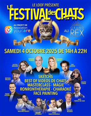Affiche de Le Festival des chats