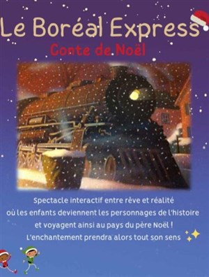 Affiche de Le boréal express