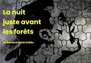 Affiche de La nuit juste avant les forêts