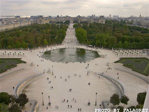 Affiche de Cours d'image et création photo au jardin des Tuileries.