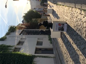 Affiche de Visite guidée : Balade de Montparnasse à Montsouris