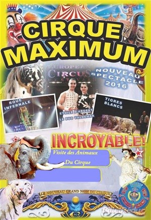Affiche de Le Cirque Maximum dans Authentique | - Vichy