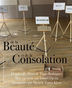 Affiche de De la beauté et de la consolation