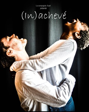 Affiche de (In)achevé