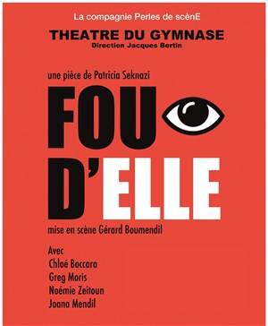 Affiche de Fou d'Elle