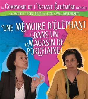 Affiche de Une mémoire d'éléphant (dans un magasin de porcelaine)