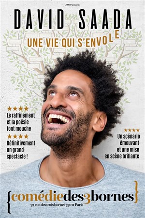 Affiche de David Saada dans Une vie qui s'envole