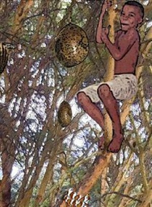 Affiche de Capoeira Cafouné