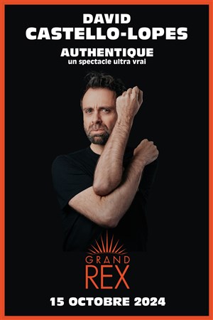 Affiche de David Castello-Lopes dans Authentique