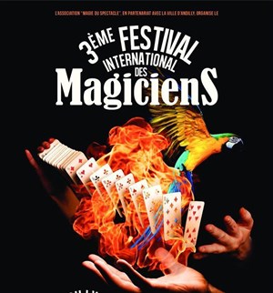 Affiche de 3ème Festival International des Magiciens