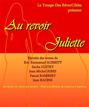 Affiche de Au revoir Juliette