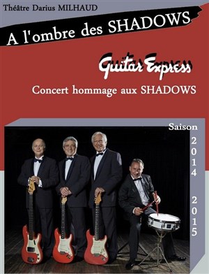 Affiche de A l'ombre des Shadows