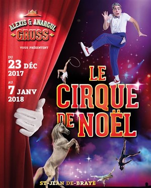 Affiche de Cirque de Noël 2017