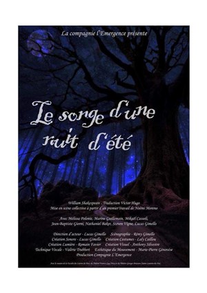 Affiche de Le songe d'une nuit d'été