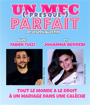 Affiche de Un mec presque parfait