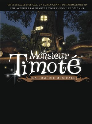 Affiche de Monsieur Timoté