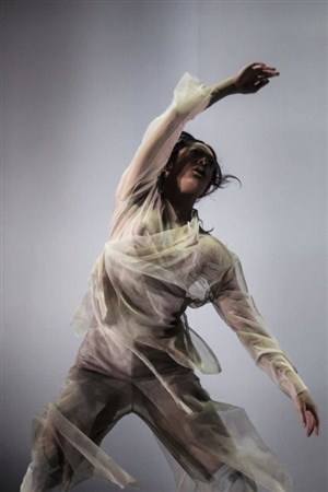 Affiche de Dancenorth Australia | Dust