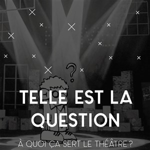 Affiche de Telle est la question