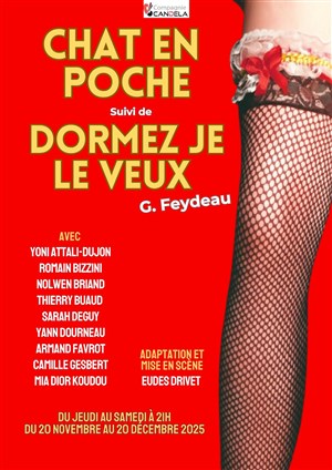 Chat en poche / Dormez je le veux