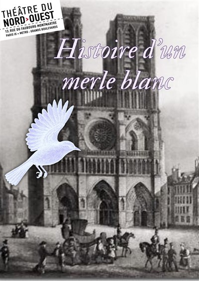 Photo Histoire d'un merle blanc