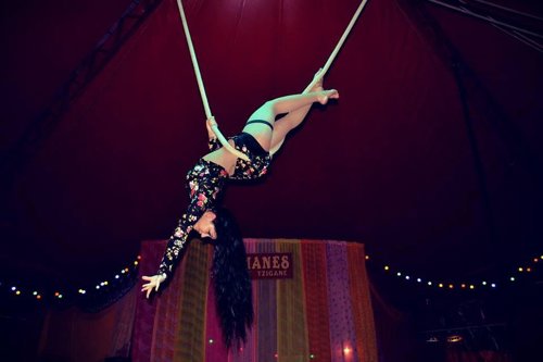Photo 3 de Romanès Cirque Tzigane dans La Trapéziste des Anges !