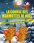La course des marmottes de Noël