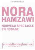 Nora Hamzawi