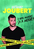 Anthony Joubert dans A quel moment a a merd ?