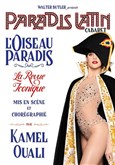 Paradis Latin