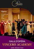 Gala de la Vincero Academy