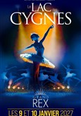 Le Lac des Cygnes