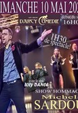 Show hommage Michel Sardou