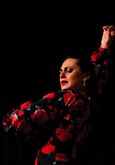 Tablao Flamenco Th��tre La Ruche 