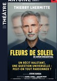 Fleurs de soleil