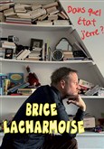 Brice Lacharmoise dans Dans quel état j'erre ? Théâtre Le Bout