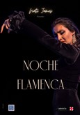 Noche Flamenca Nati James