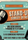 Stand Up Comedy Or Not Thtre Le Cours H.