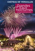 Les Grandes Eaux Nocturnes 2024 Jardin du chteau de Versailles - Entre Cour d'Honneur